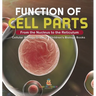 Function of Cell Parts: From the Nucleus to the Reticulum Cellular Biology Grade 5 Children's Biology Books