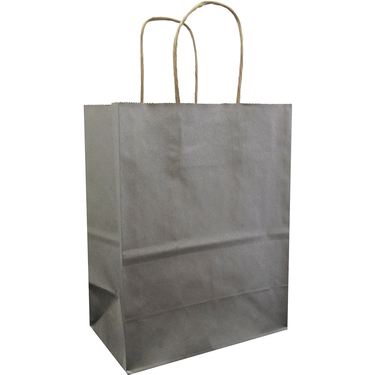 Jillson & Roberts Medium Kraft Bags, Metallic Silver by Present Paper