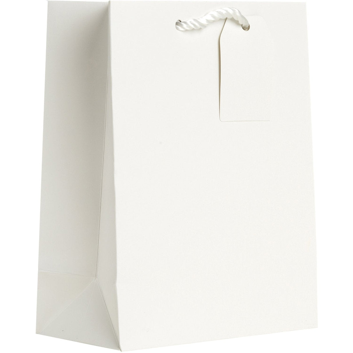 Heavyweight Solid Color Medium Gift Bags, Matte White by Present Paper