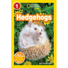 Hedgehogs (National Geographic Kids Readers, Level 1)