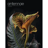 Antennae #65 Dataism