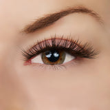 Breath of Fresh Air Lash Style by True Beauty Lashes