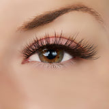 Sparkle in Her Eyes Lash Style by True Beauty Lashes