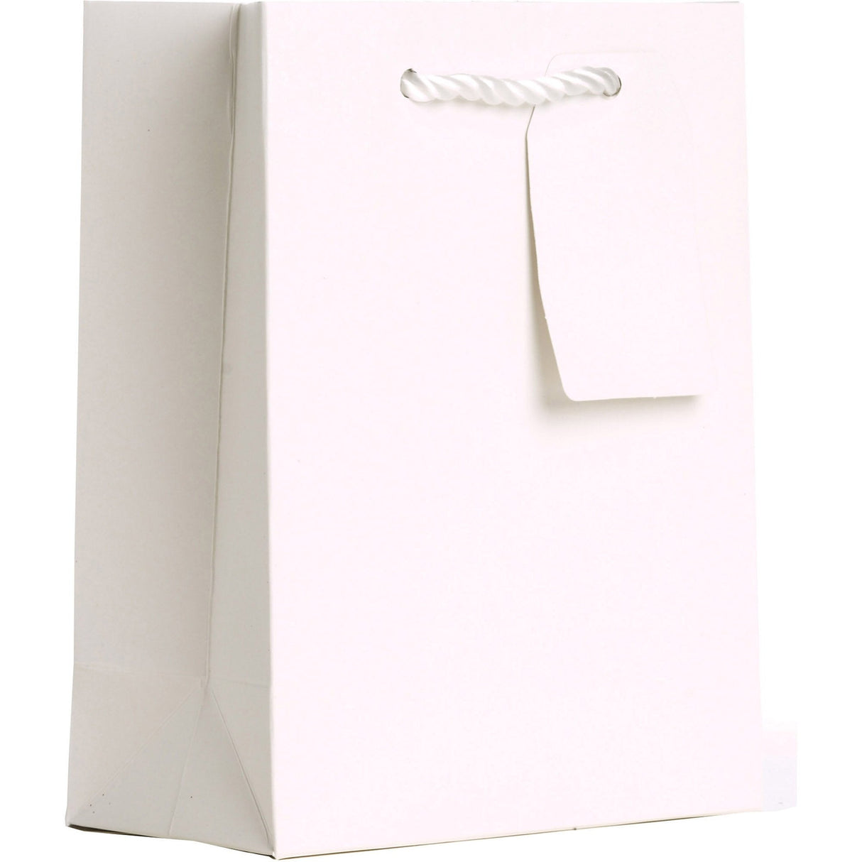 Heavyweight Solid Color Small Gift Bags, Matte White by Present Paper