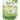 Day's Eye