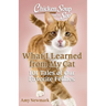 Chicken Soup for the Soul: What I Learned from My Cat: 101 Tales of Our Favorite Felines