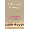 A Thousand Flamingos