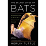 The Secret Lives of Bats: My Adventures with the World's Most Misunderstood Mammals