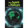 The Spirit in Nature: A Scientific History of the Universe from a Spiritual Perspective