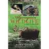 Algonquin Wildlife: Lessons in Survival