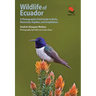 Wildlife of Ecuador: A Photographic Field Guide to Birds, Mammals, Reptiles, and Amphibians