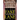 Fast Lane