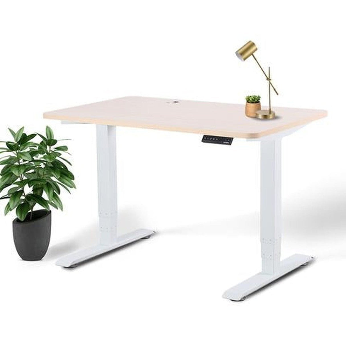 Business Office Standing Desk by EFFYDESK by Level Up Desks