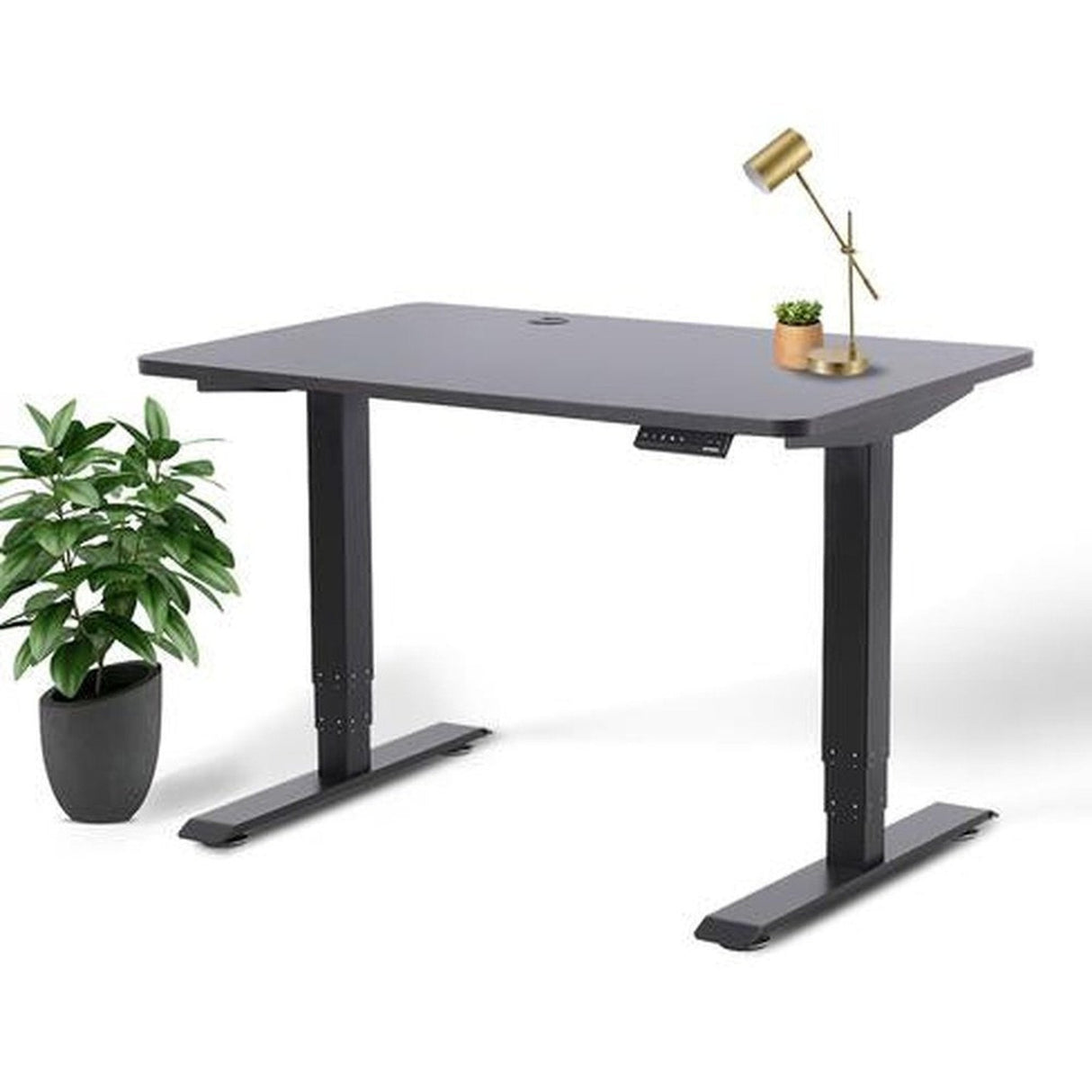 Business Office Standing Desk by EFFYDESK by Level Up Desks