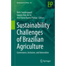 Sustainability Challenges of Brazilian Agriculture: Governance, Inclusion, and Innovation