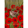 Wren's Aria