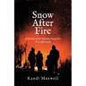 Snow After Fire
