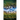 Liar's Creek