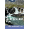 Spirit Flowing Like Water: New Conversations on Receptive Ecumenism