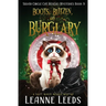 Boots, Blitzen, and Burglary: A Cozy Magic Midlife Mystery