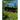 Neighbor to Adirondack Wilderness: Howard Zahniser's "Mateskared Cabin"