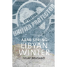 Arab Spring, Libyan Winter