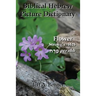 Biblical Hebrew Picture Dictionary