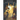 Testaments of the Patriarchs Collection
