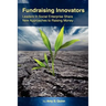 Fundraising Innovators: Leaders in Social Enterprise Share New Approaches to Raising Money