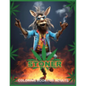 Stoner - Coloring Book for Adults: Funny Animals, Cartoon Characters, Humour for Adults