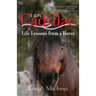 I am Cadillac: Life Lessons from a Horse