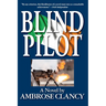 Blind Pilot
