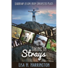 Taking In Strays: Leadership Lessons From Unexpected Places