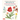 A Step-By-Step Guide to Botanical Drawing & Painting: Create Realistic Pencil and Watercolor Illustrations of Flowers, Fruits, Plants and More! (with