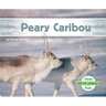 Peary Caribou