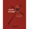 Youth Aflame!: A Manual For Discipleship