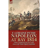 Napoleon at Bay, 1814: the Campaigns to the Fall of the First Empire