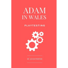 Adam in Wales - Playtesting: A Practical Guide for Board Game Designers