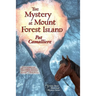 The Mystery at Mount Forest Island