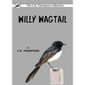 Willy Wagtail