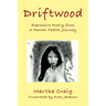Driftwood: Expressive Poetry from a Mental Health Journey