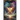 The Light Upon Eyes