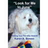 Look For Me in June: Finding Your Pet After Rebirth