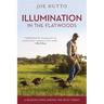 Illumination in the Flatwoods: A Season Living Among the Wild Turkey