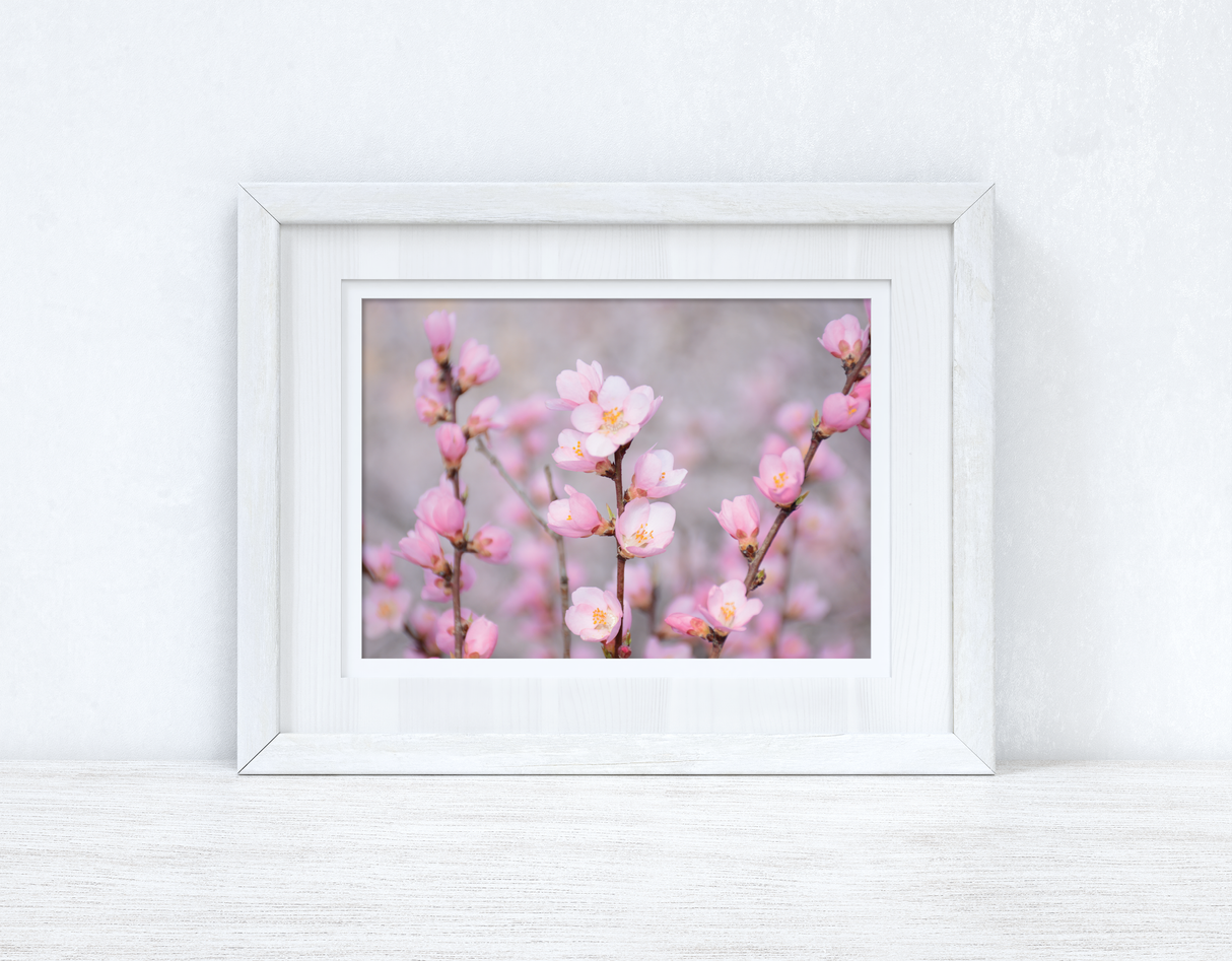 Cherry Spring Blossom Photography Spring Seasonal Wall Home Decor Print by WinsterCreations™ Official Store