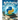 Master Python Without Prior Experience