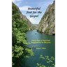 Beautiful Feet for the Gospel: Forty Days of Spiritual Preparation for Mission