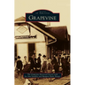 Grapevine