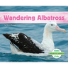 Wandering Albatross
