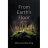 From Earth's Floor: Small Poems